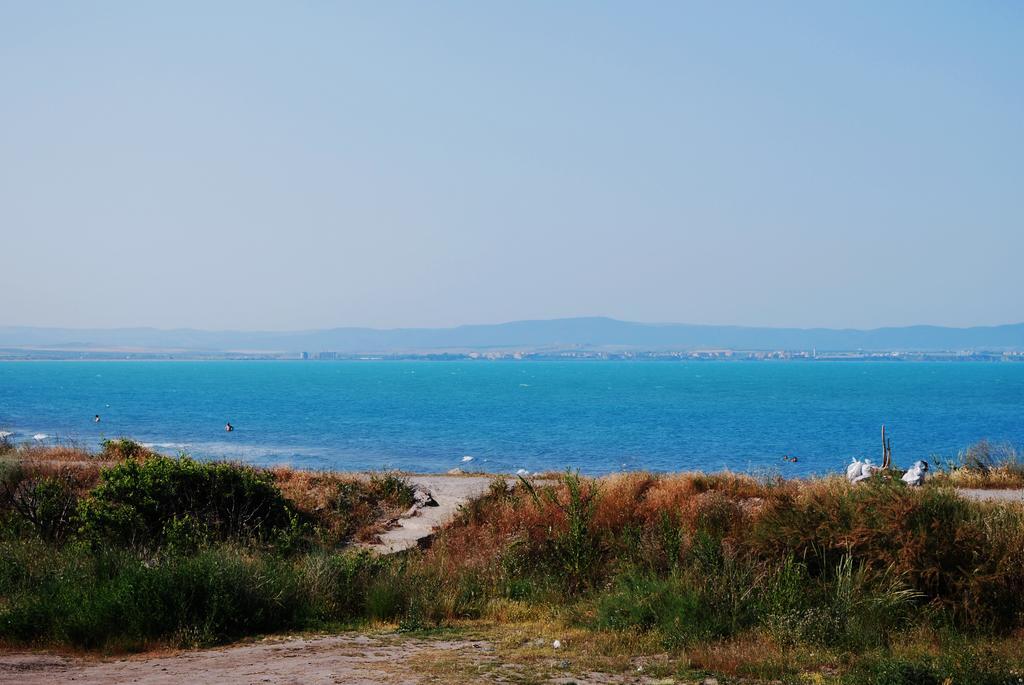 Dune Boutique Hotel 帕莫瑞 外观 照片